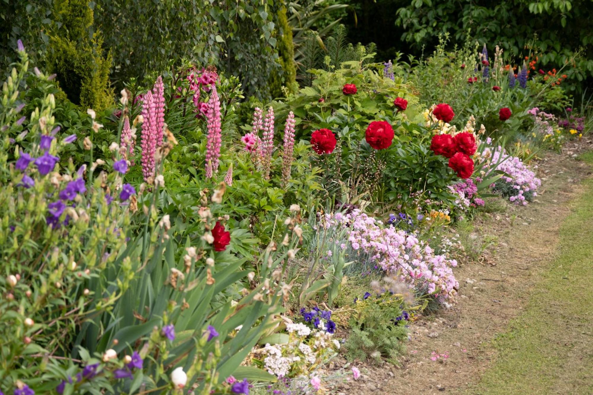 Benger Garden Chalets Millers Flat Eksteriør billede